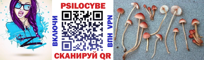 сколько стоит  Кыштым  Галлюциногенные грибы Magic Shrooms 