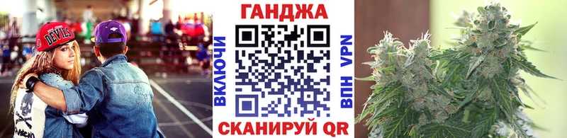 Конопля гибрид  Кыштым 